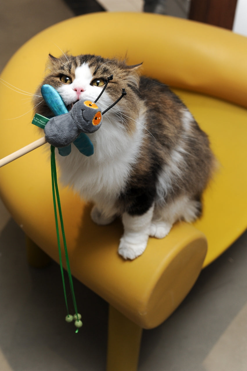 Cat Catnip Wand Toy - Annoying Fly