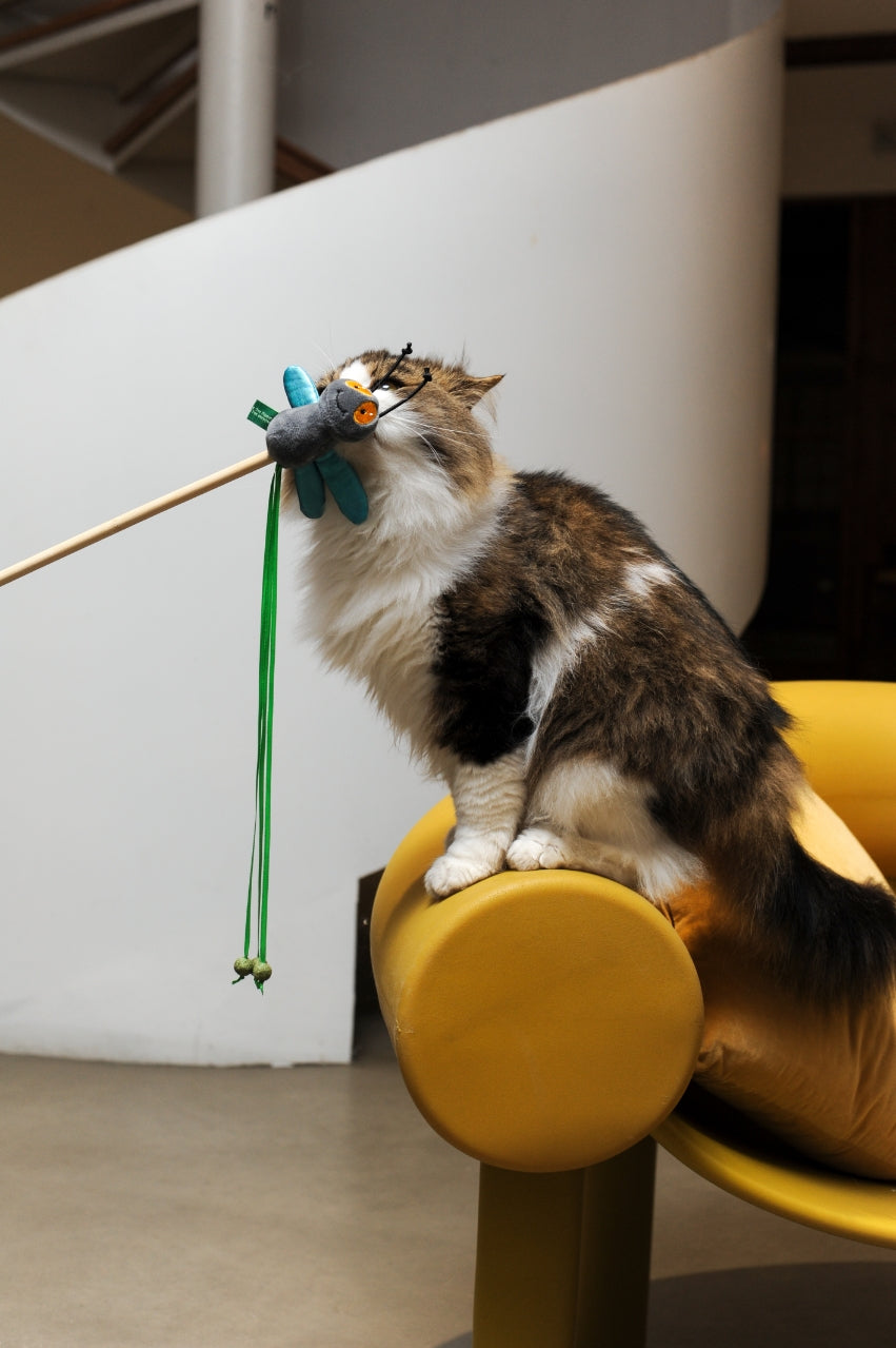 Cat Catnip Wand Toy - Annoying Fly