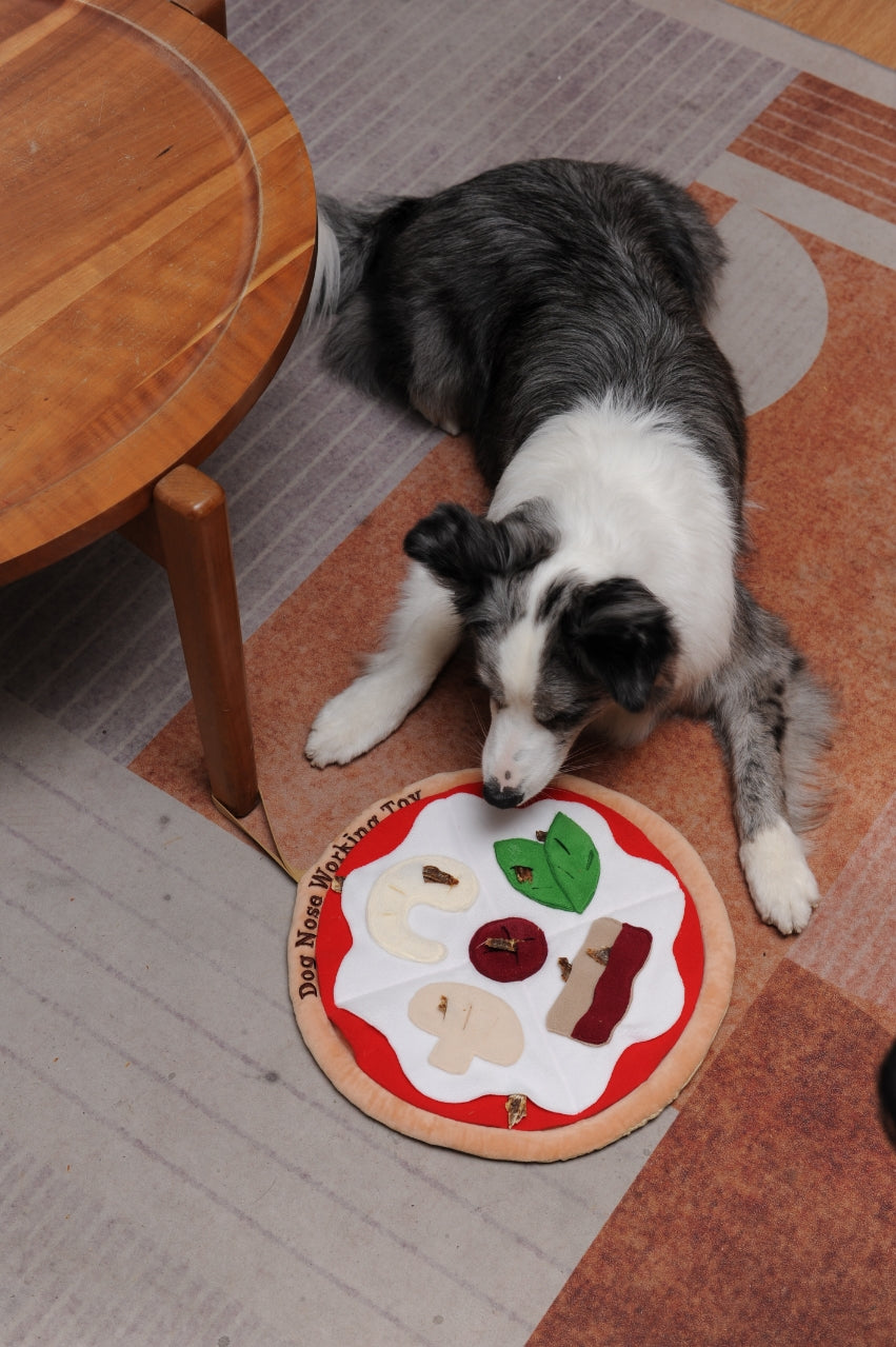Eco Interactive Dog Toy - Pizza Sniffing Mat
