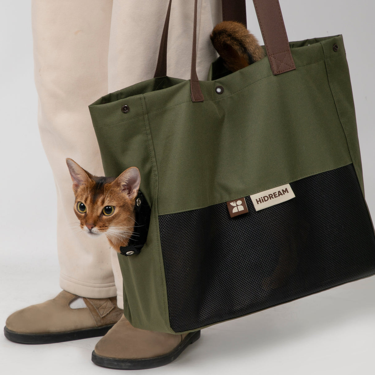 Pet Carrier - Matcha Cookie Canvas Tote (for pets up to 5kg)