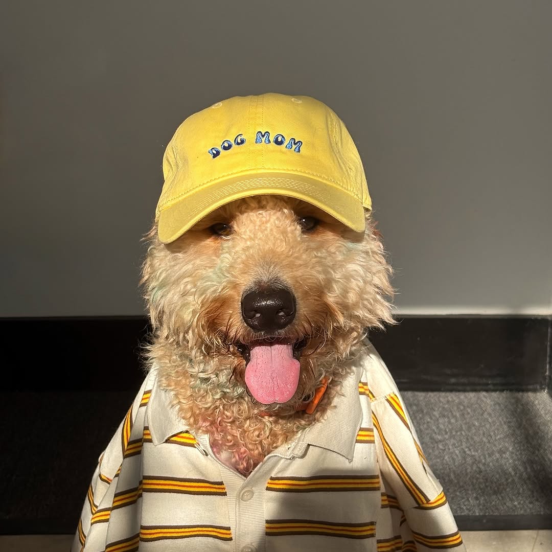 Dog Mom Hat (Pastel Yellow)