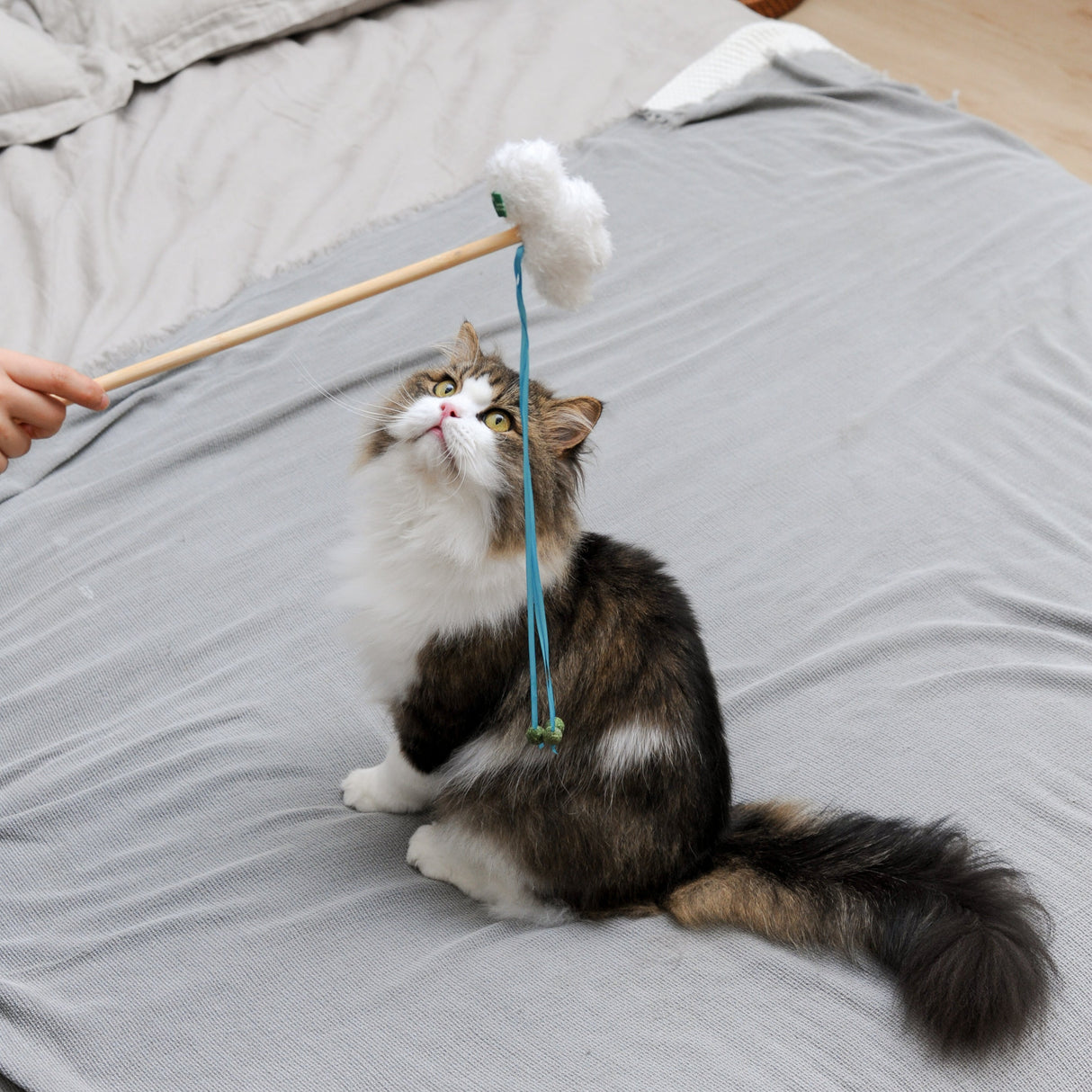 Cat Catnip Wand Toy - Dreamy Cloud