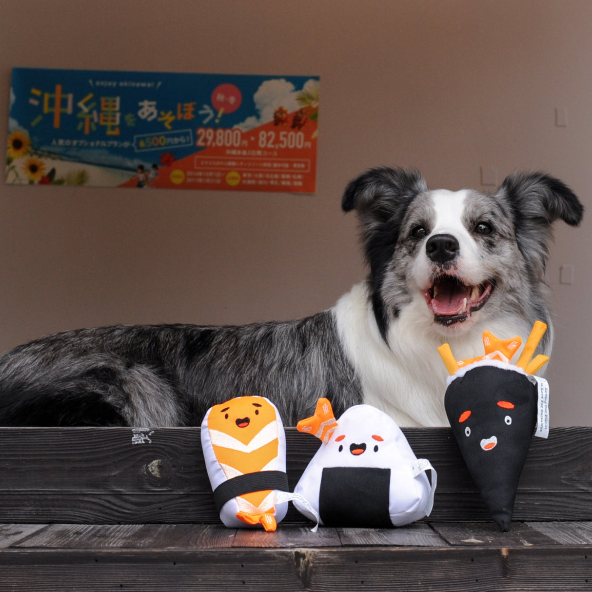 Eco Dog Toy - Sushi Onigiri