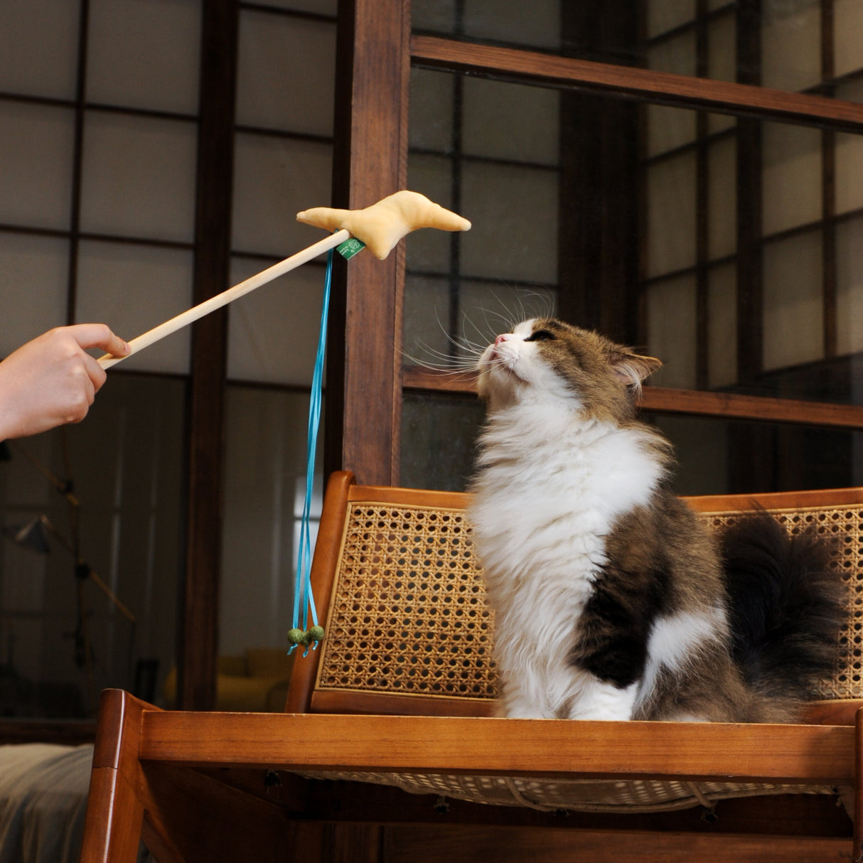 Cat Catnip Wand Toy - Bold Lightning