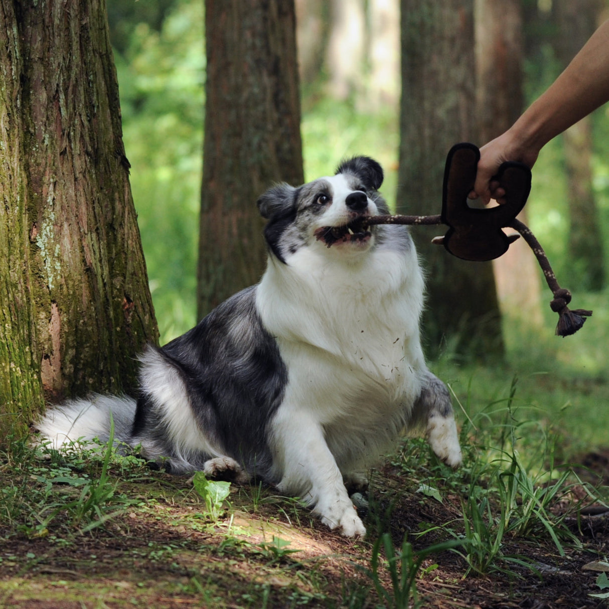 Eco Dog Rope Toy - Monkey