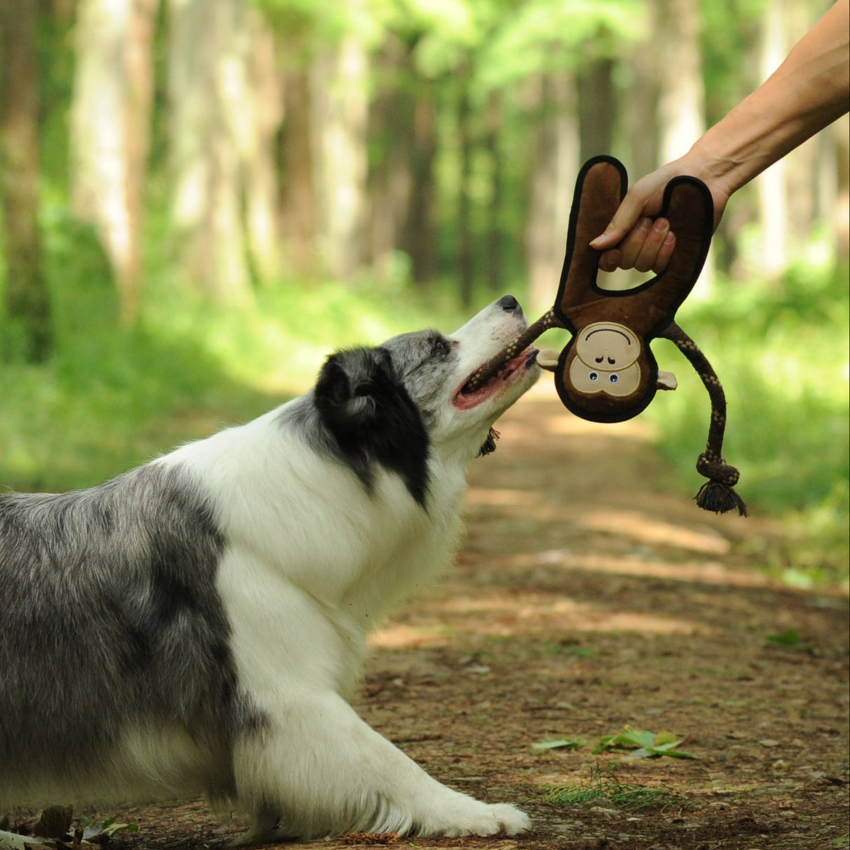 Eco Dog Rope Toy - Monkey