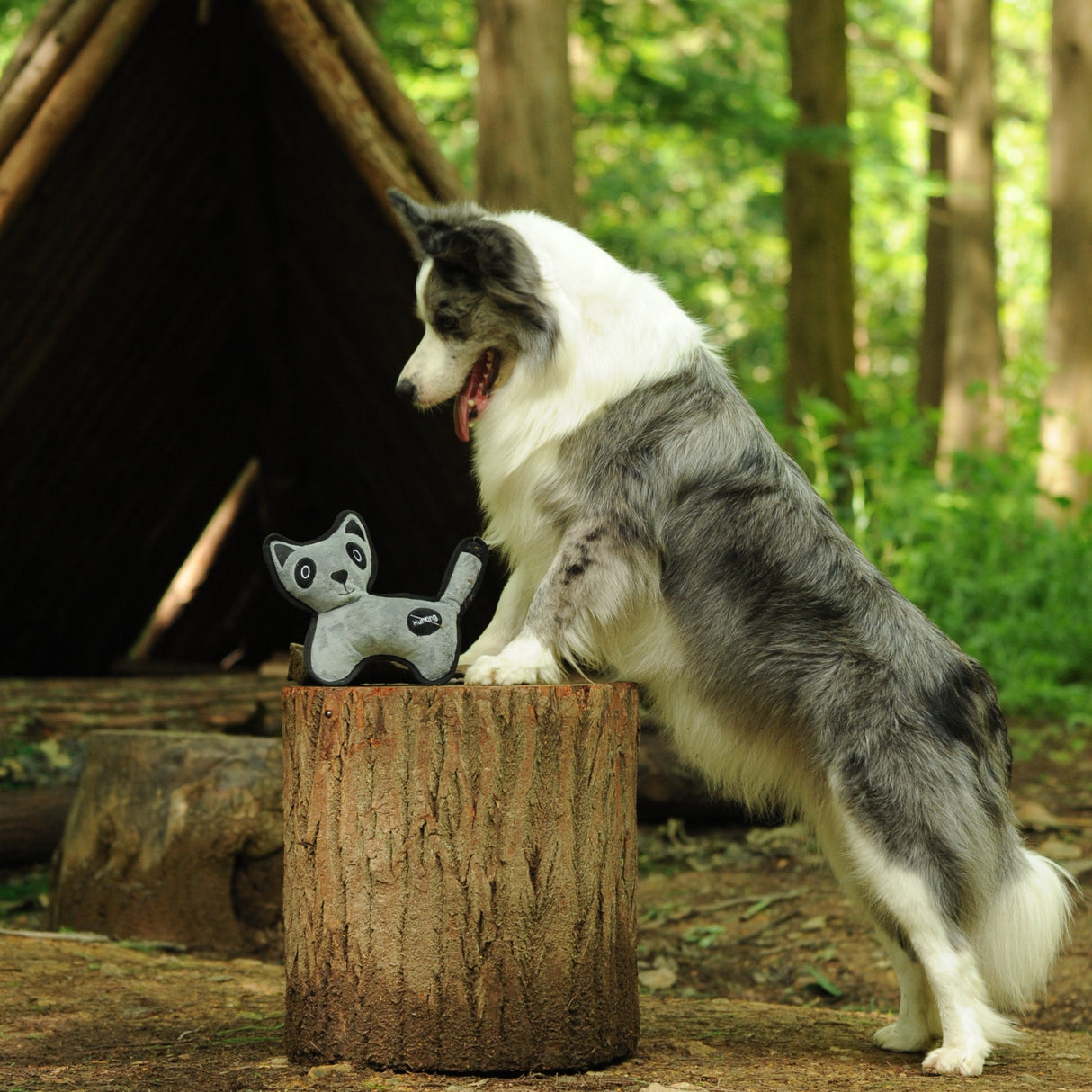 Eco Dog Toy - Jungle Coati