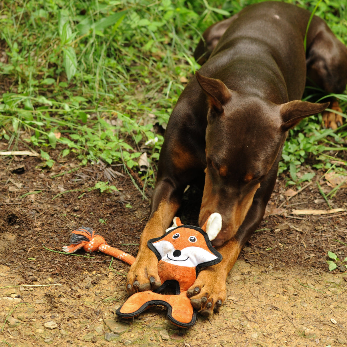 Eco Dog Rope Toy - Fox