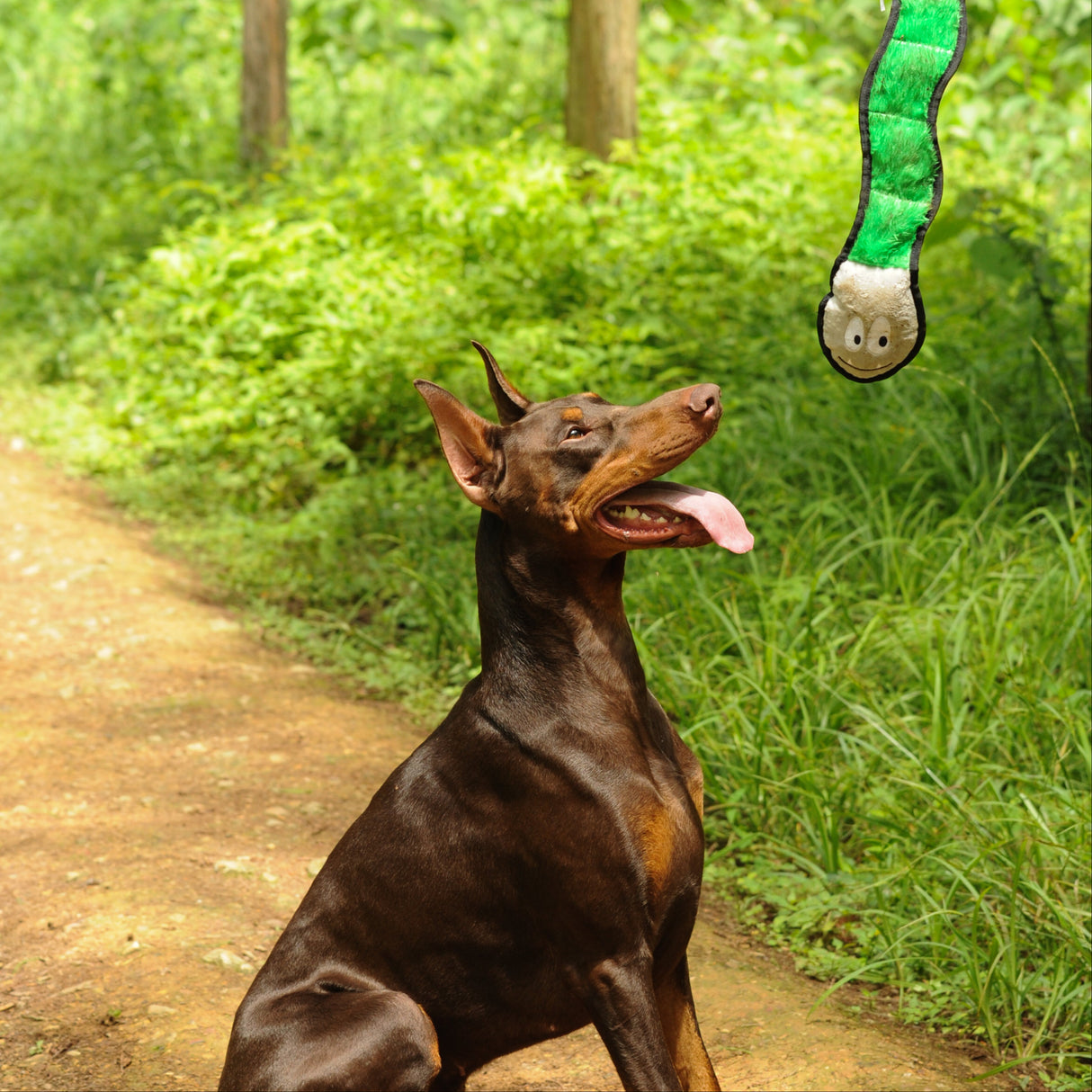 Eco Dog Toy - Jungle Snake