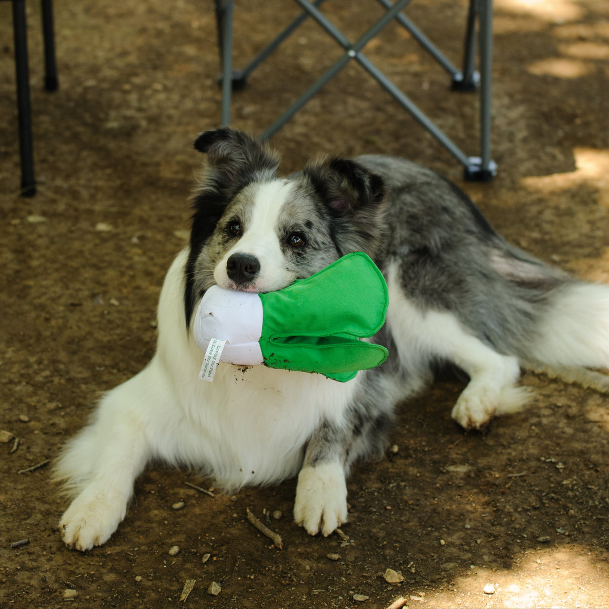 Eco Dog Toy - Veggie Cabbage