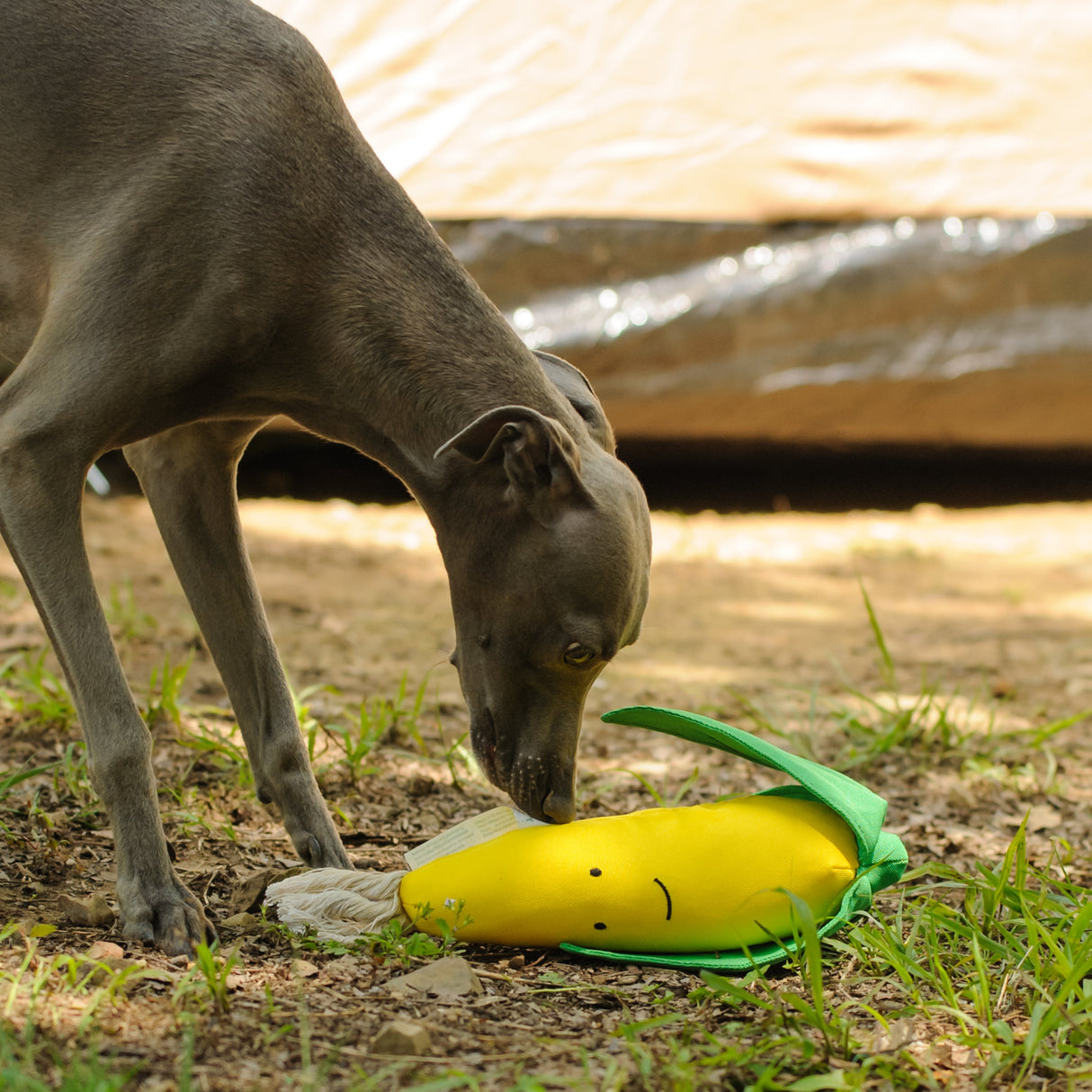 Eco Dog Toy - Veggie Corn