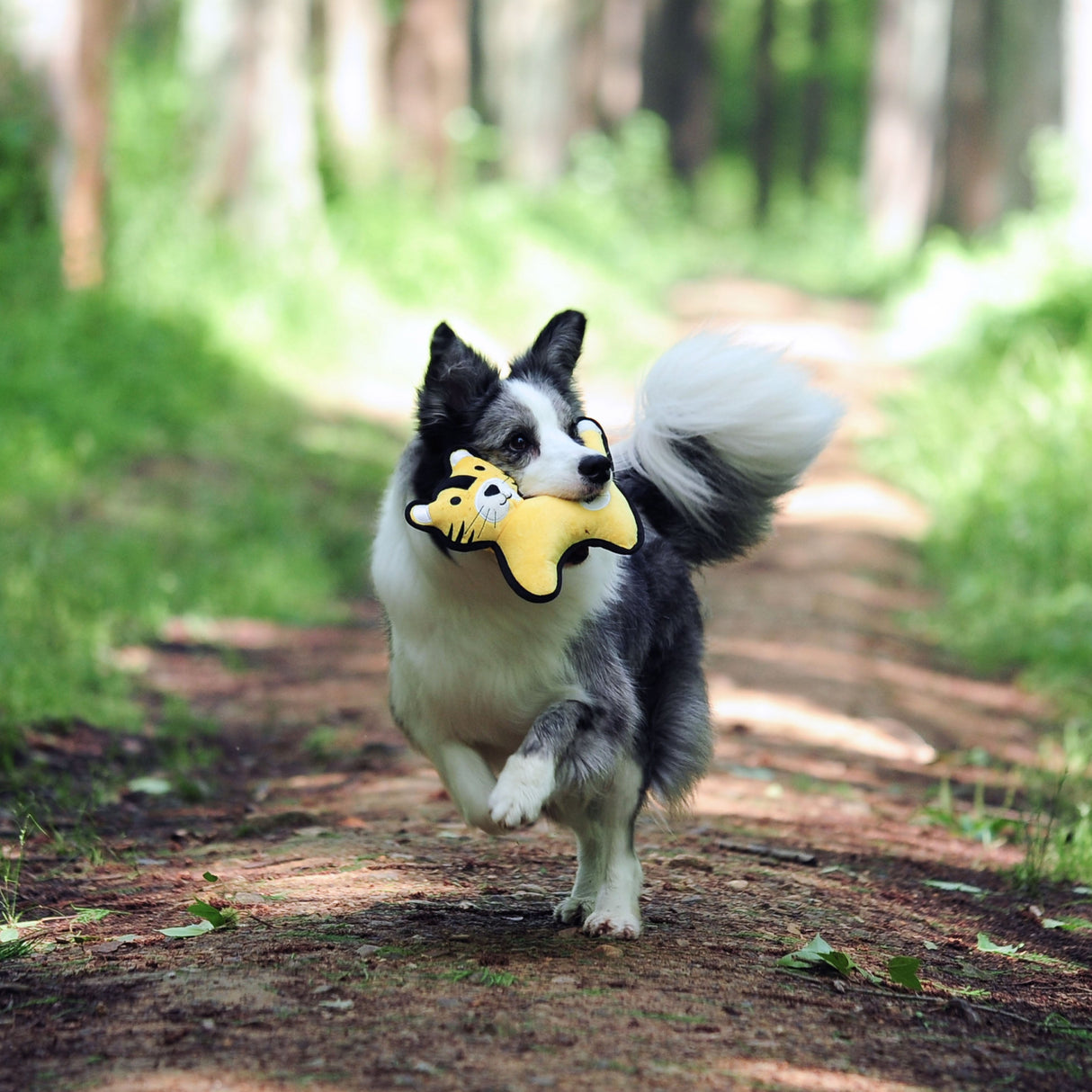 Eco Dog Toy - Jungle Tiger