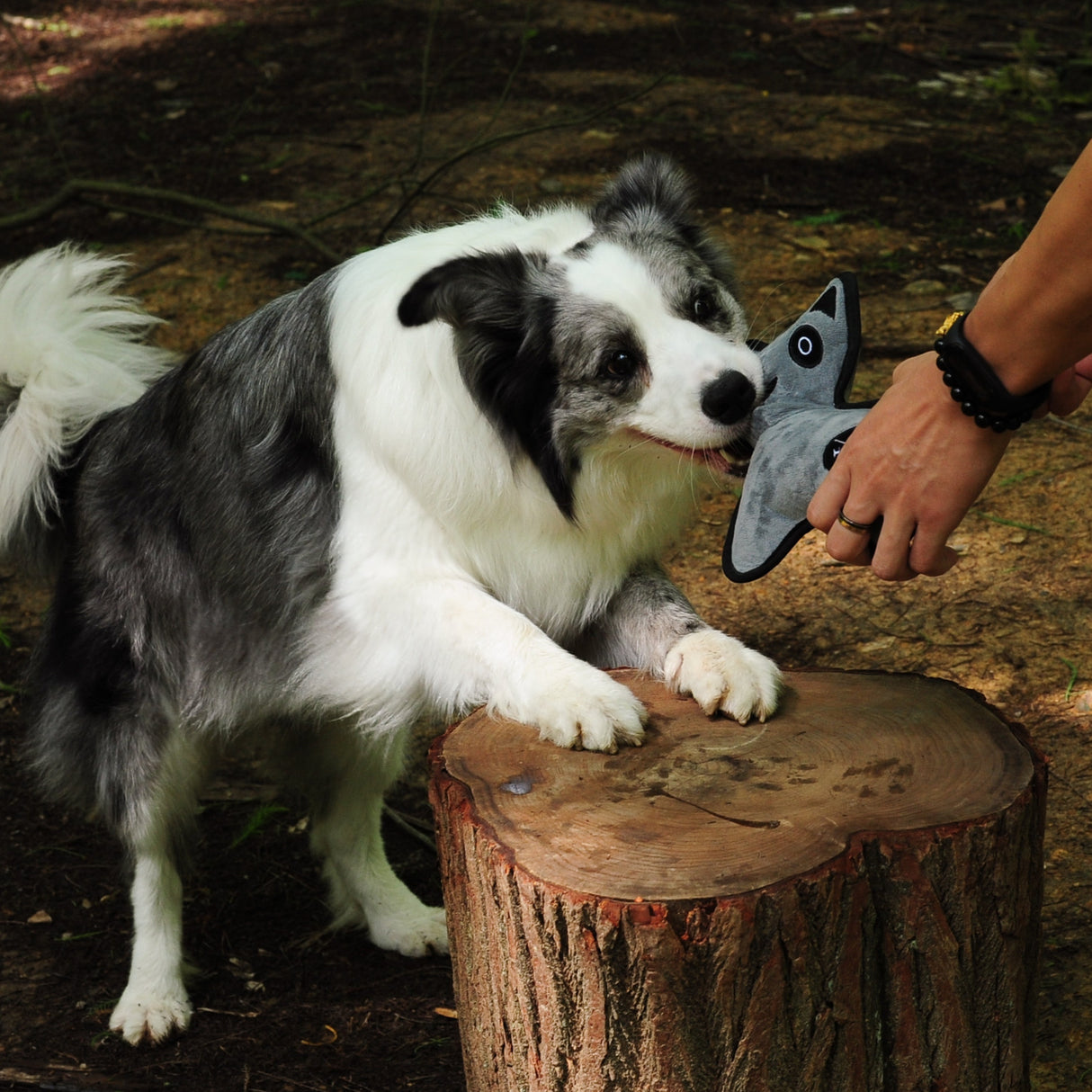 Eco Dog Toy - Jungle Coati