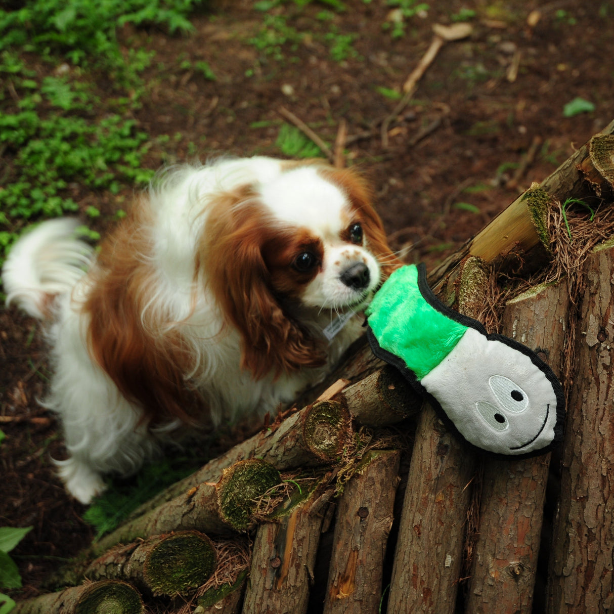 Eco Dog Toy - Jungle Snake