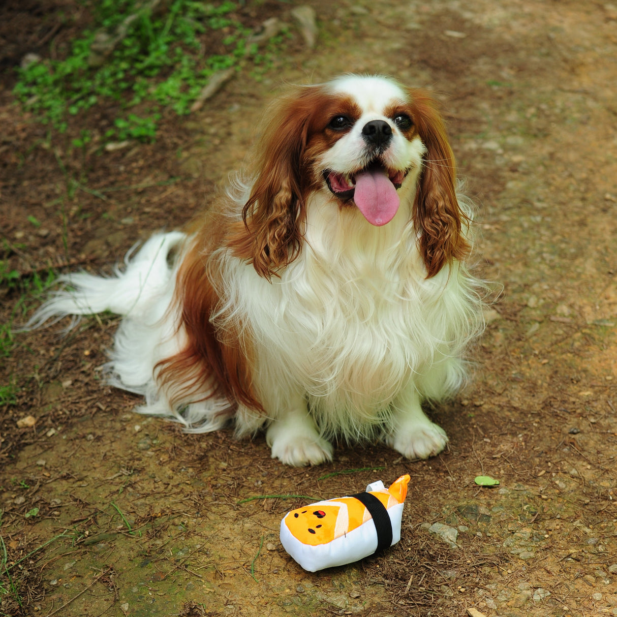 Eco Dog Toy - Sushi Nigiri