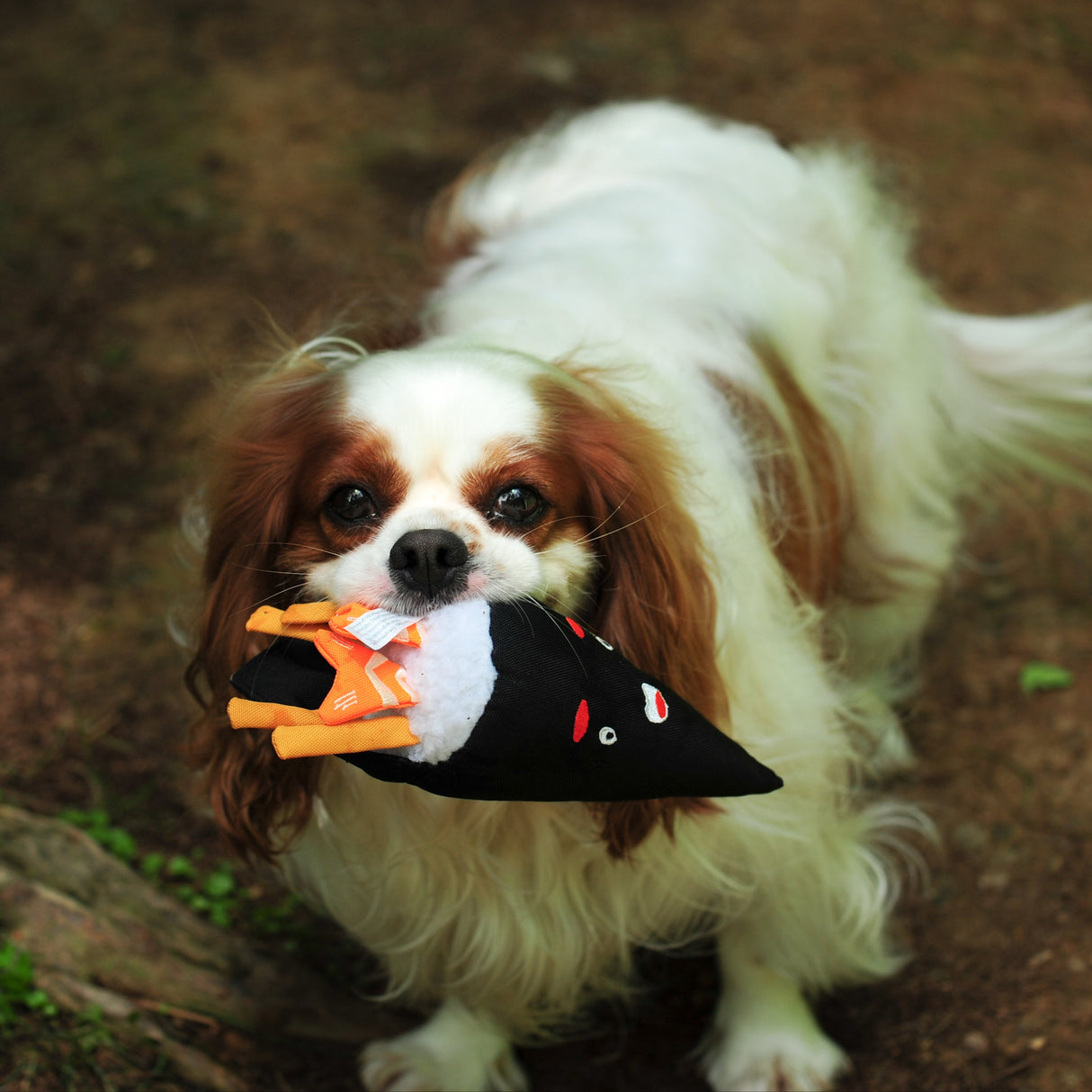 Eco Dog Toy - Sushi Temaki