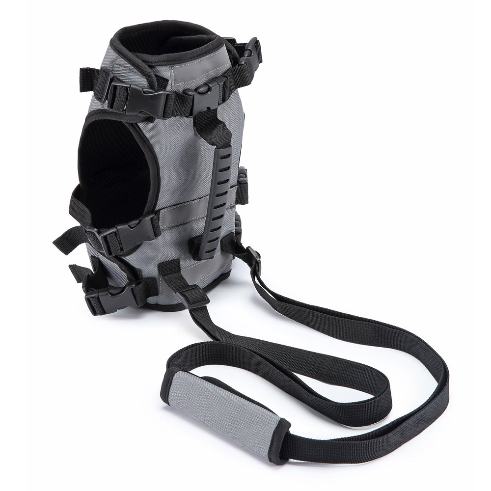 Dog Support Harness for Daily Mobility (2.5 - 9 kg pets)