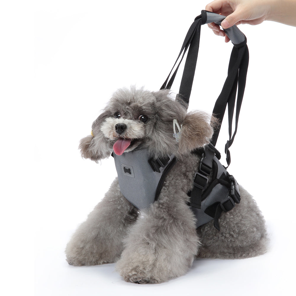 Dog Support Harness for Daily Mobility (2.5 - 9 kg pets)