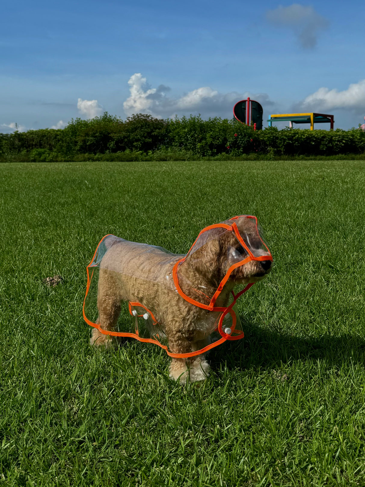 SALE $44 - Jelly Raincoat - Orange