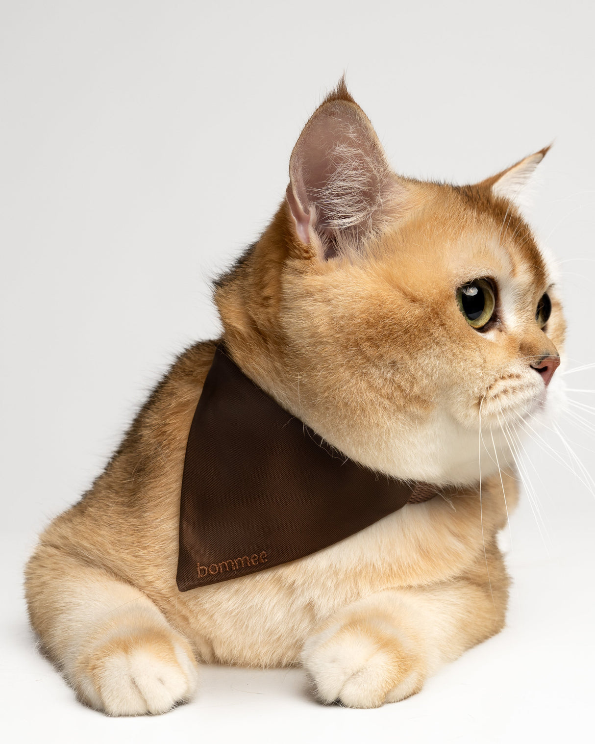 Bommee Nylon Collar and Leash Set - Orange