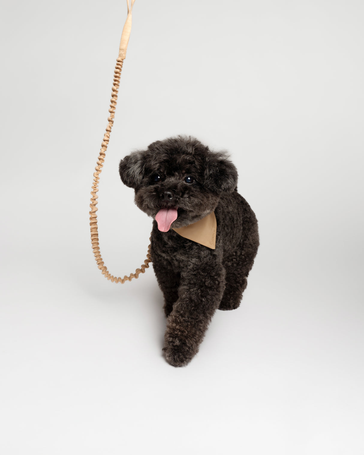 Bommee Nylon Collar and Leash Set - Orange