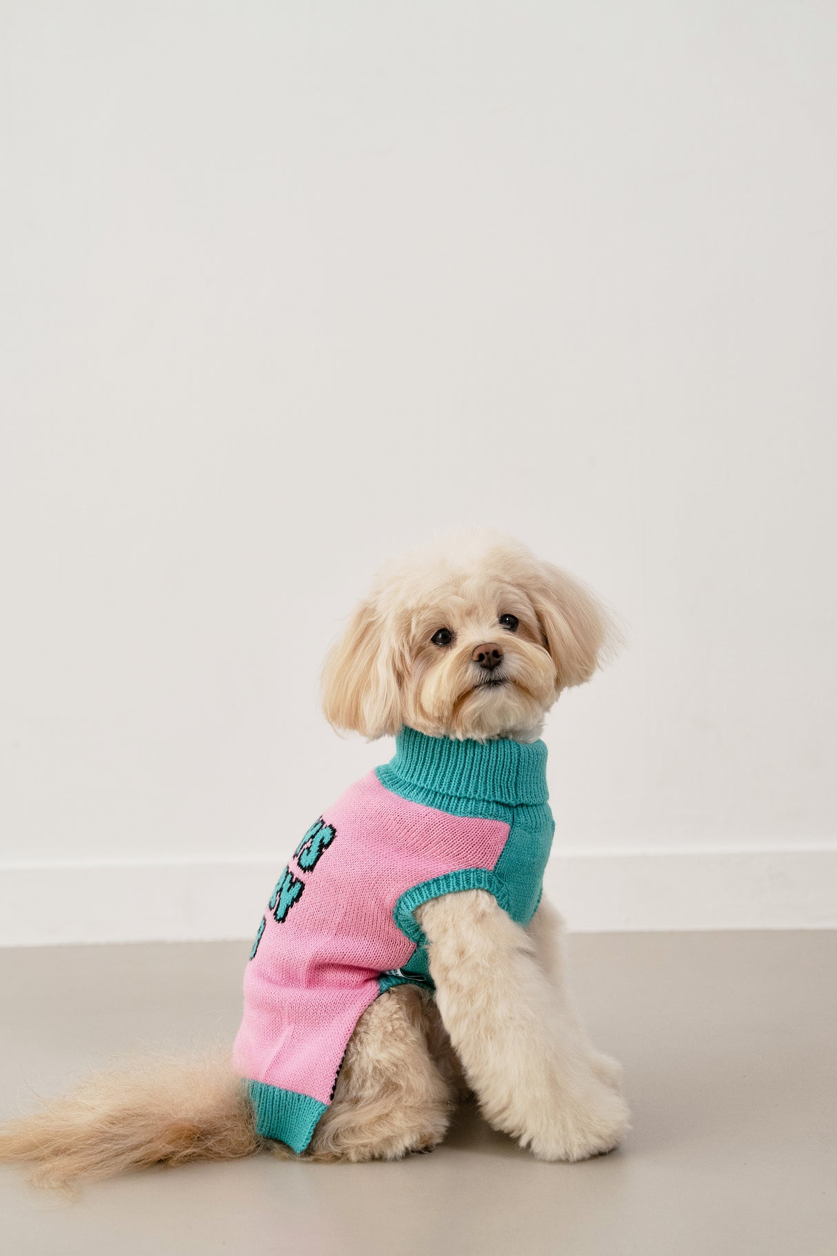 Always Hungry Club Logo Sweater - Pink