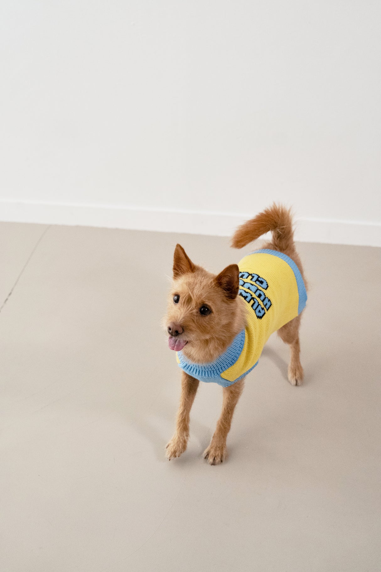 Always Hungry Club Logo Sweater - Yellow