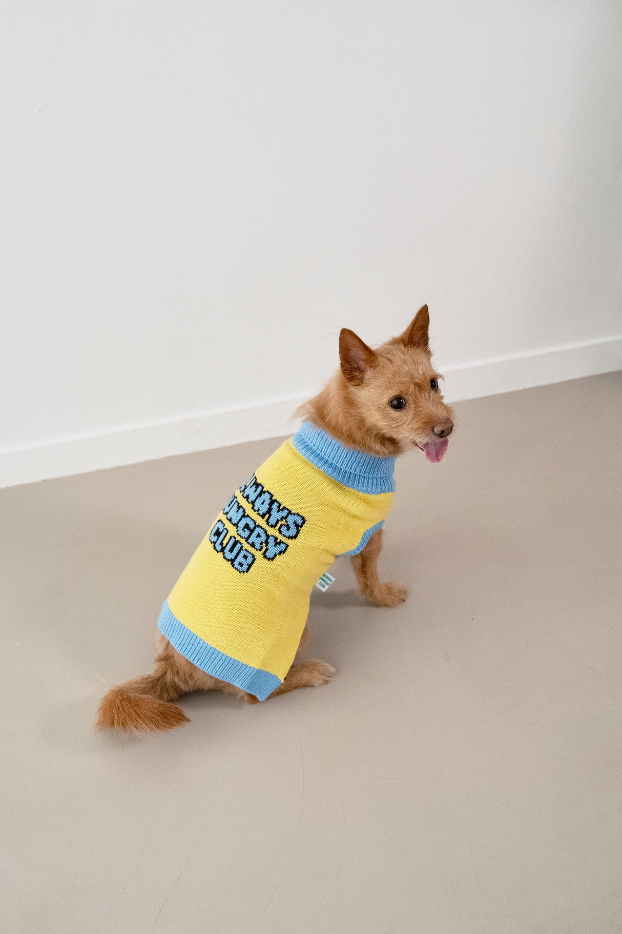 Always Hungry Club Logo Sweater - Yellow