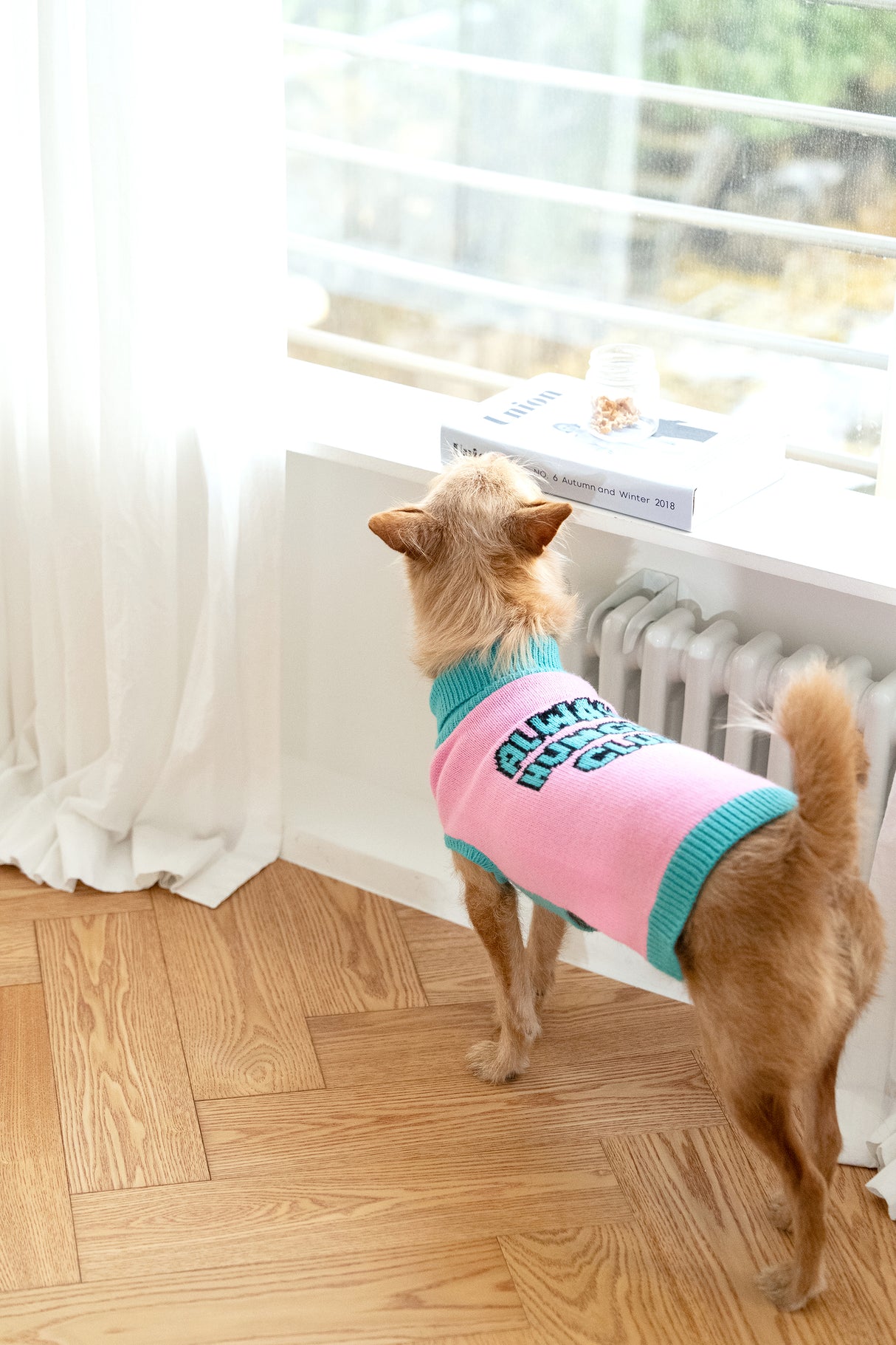 Always Hungry Club Logo Sweater - Pink