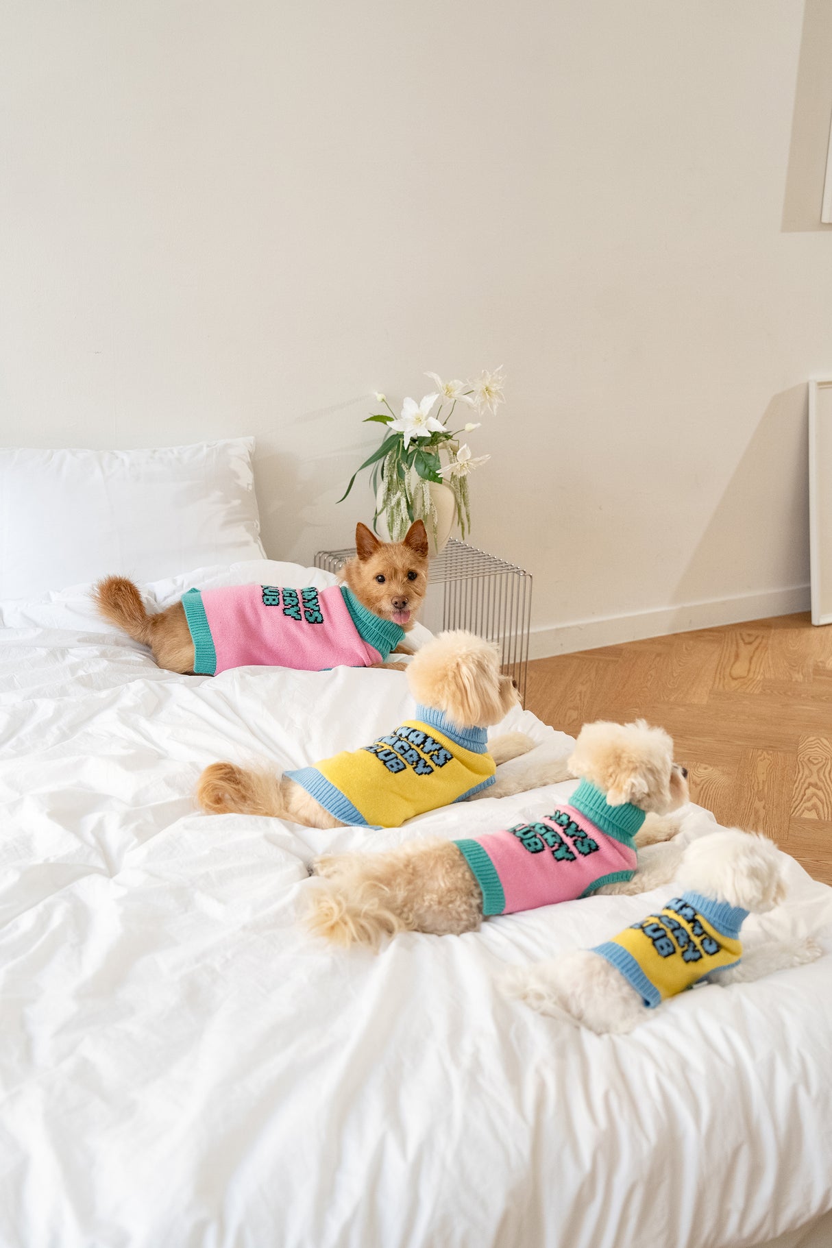 Always Hungry Club Logo Sweater - Pink