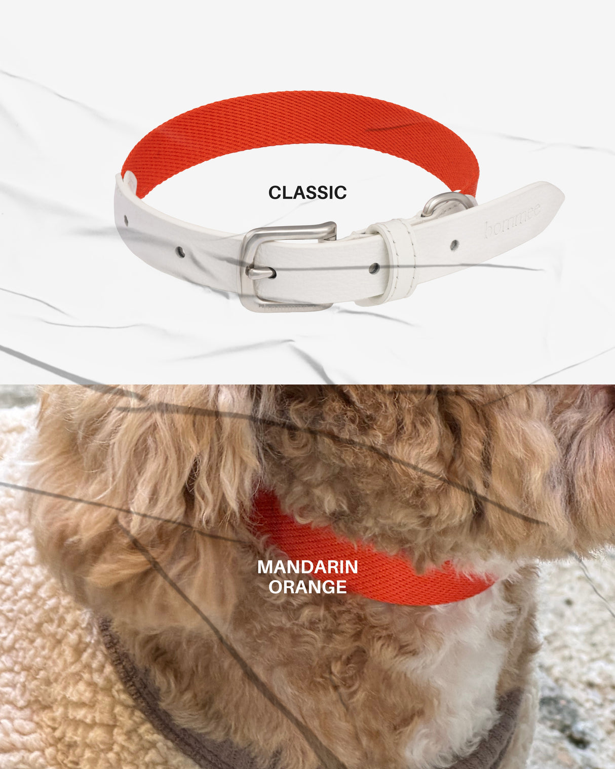 Classic Leather Collar - Mandarin Orange + White