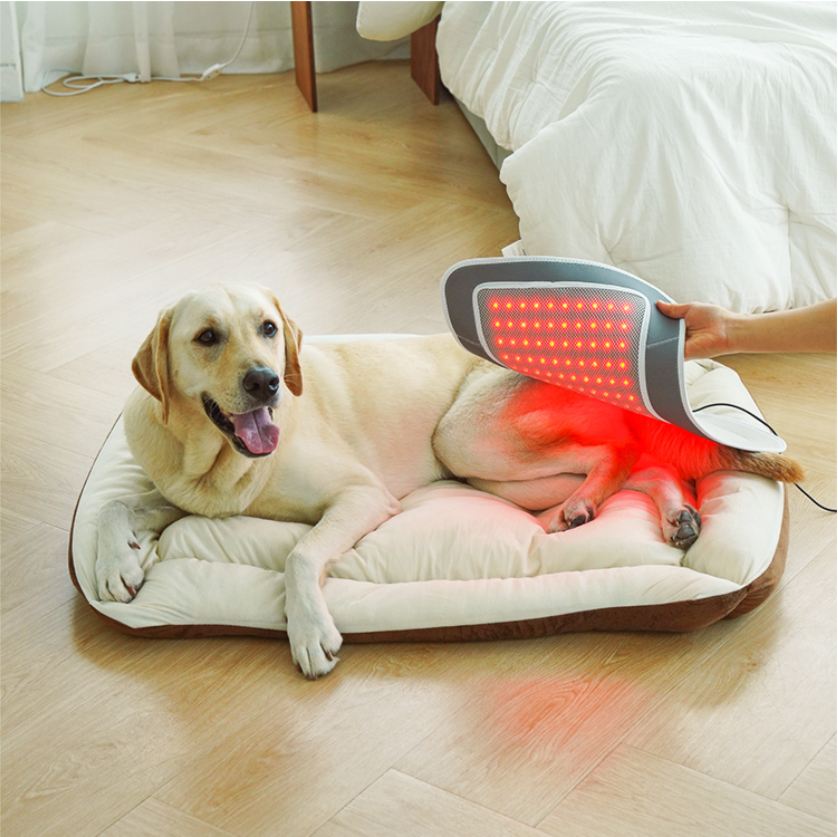 Cirius Pet Infrared Joint Care - Warm Pad Pro Large | For all pets