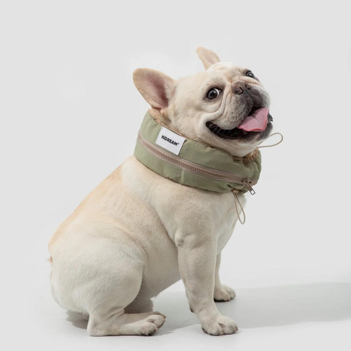 Cooling Collar - Light Green