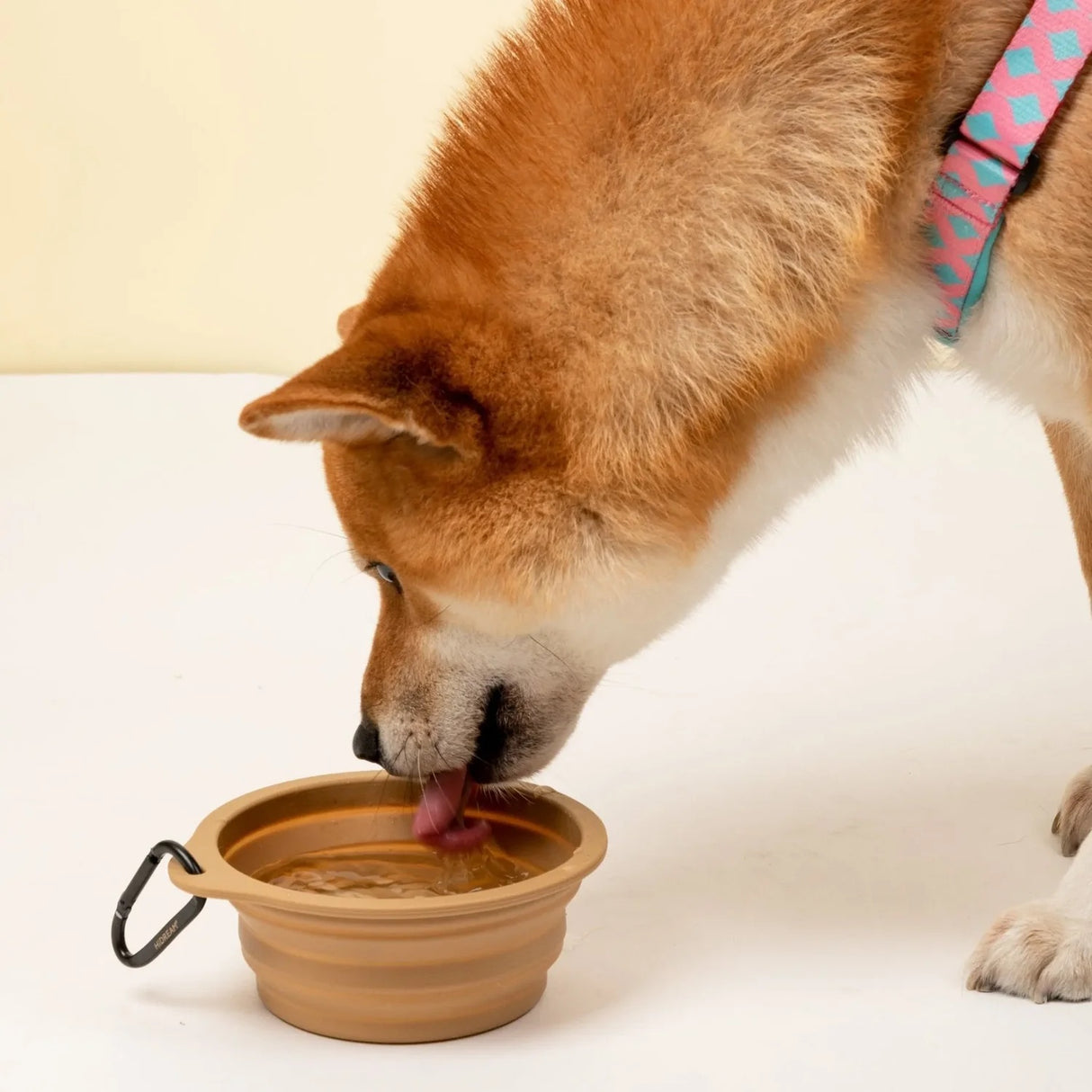 Collapsible Pet Bowl - Beige