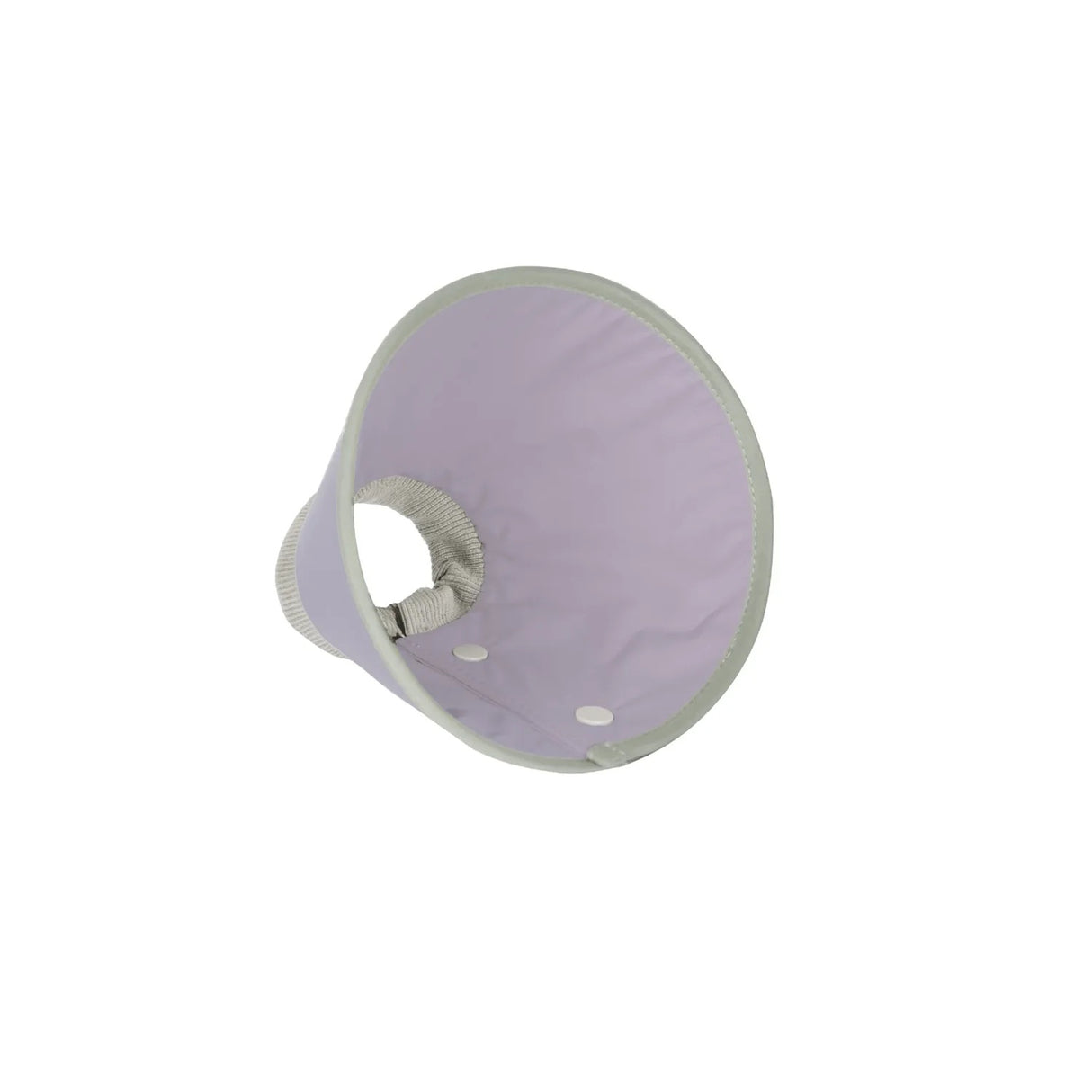 Recovery Collar - Taro Purple