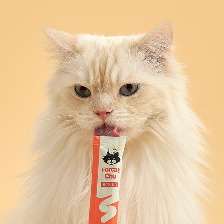 Dr. Felis Forcat Chu Treat - Salmon 30 pcs