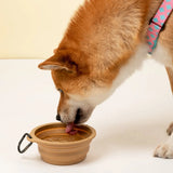 Collapsible Pet Bowl - Green