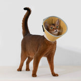 Recovery Collar - Lemon Yellow